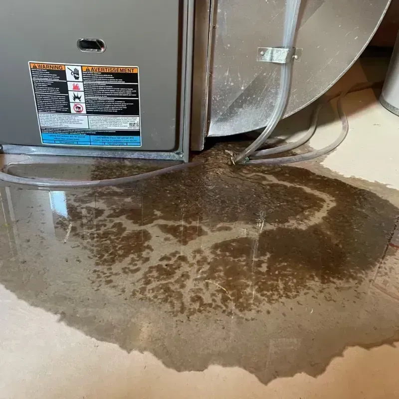 Appliance Leak Cleanup in Locust Fork, AL